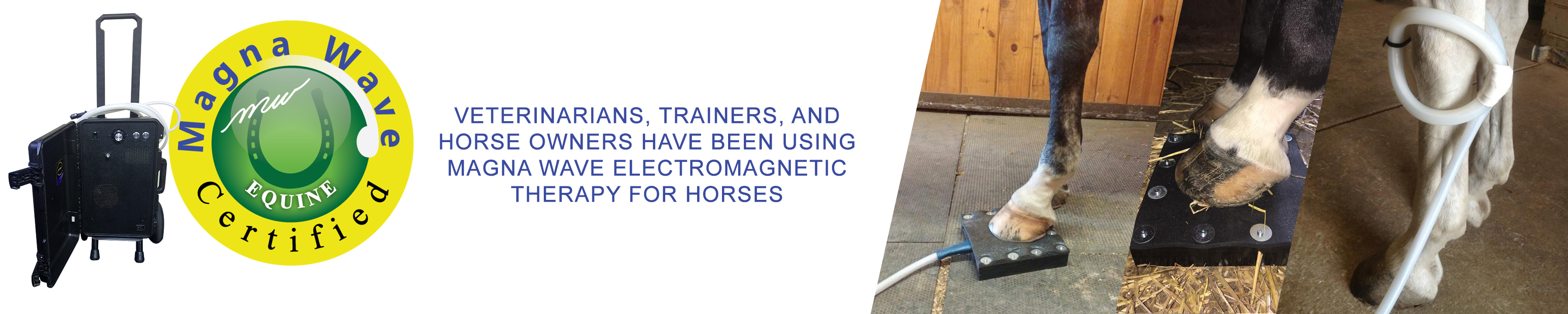 Magna Wave Certified Veterinarians, trainers, and horse owners have been using Magna Wave electromagnetic therapy for horses.
