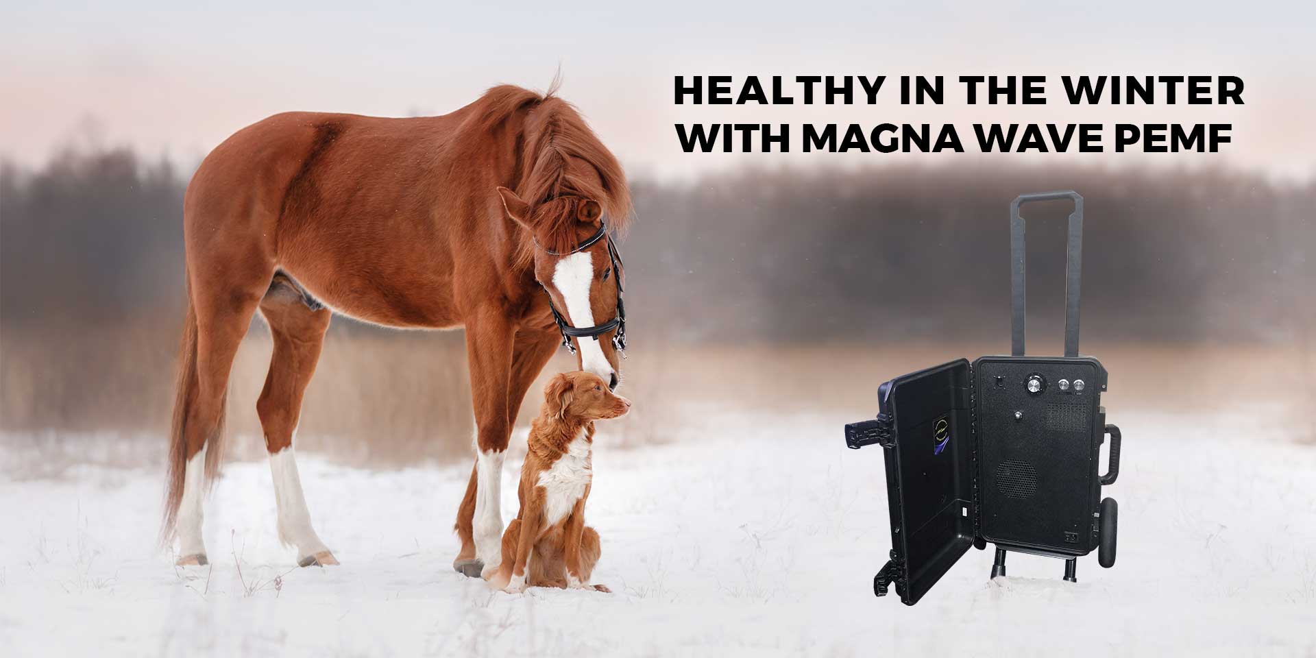 Healthy in the winter with Magna Wave PEMF