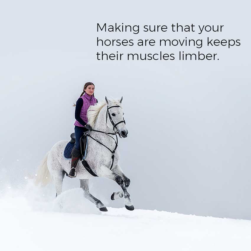 Making sure that your horses are moving keeps their muscles limber.