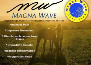 Life Spring Energetics