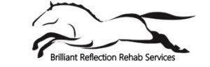 Brilliant Reflection Rehab Services