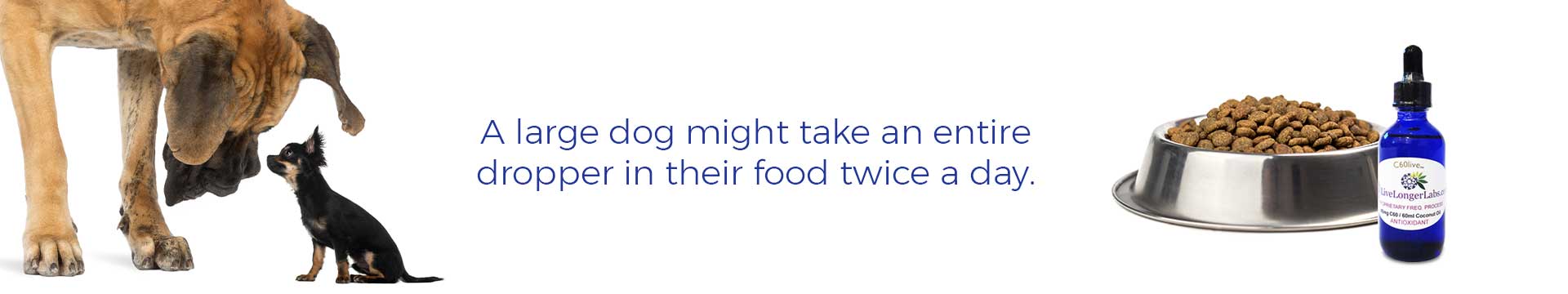 A large dog might take an entire dropper in their food twice a day.