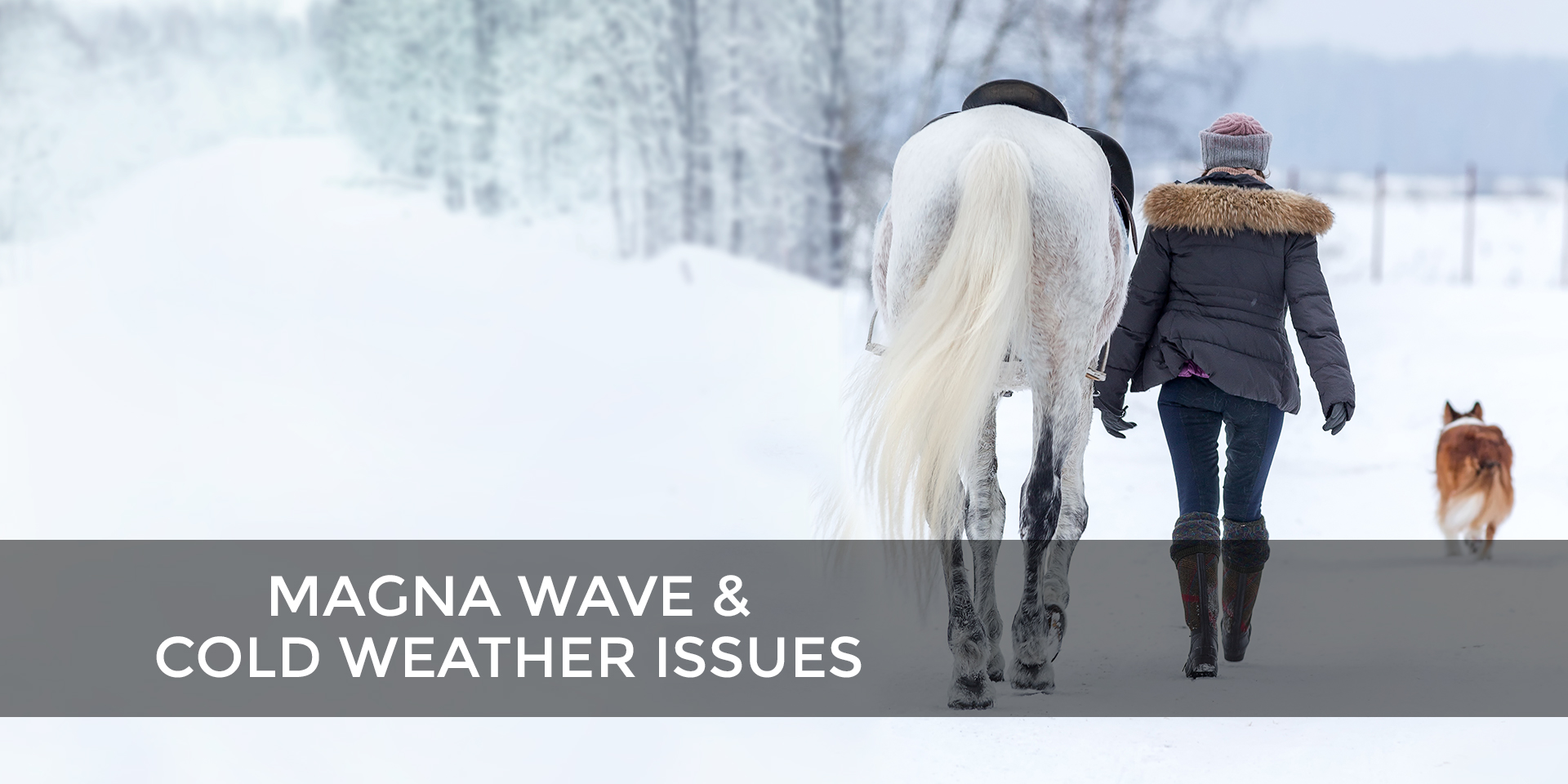 Manga Wave & Cold Weather Issues