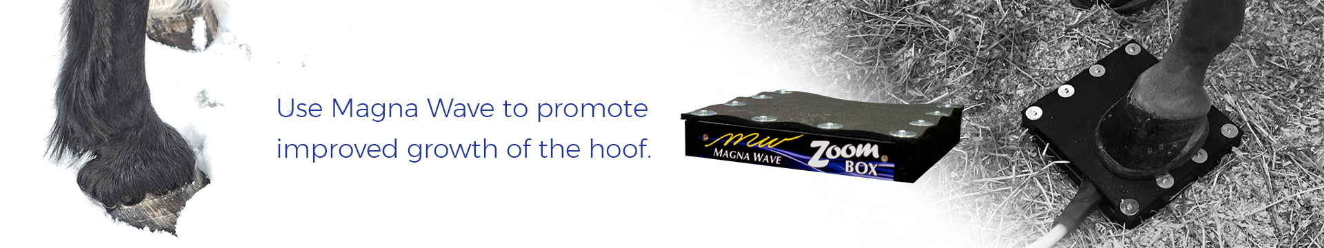 Use Magna Wave to promote improved growth of the hoof.