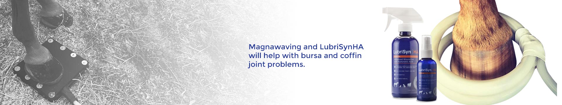 Magnawaving and LubriSynHA will help with bursa and coffin joint problems.
