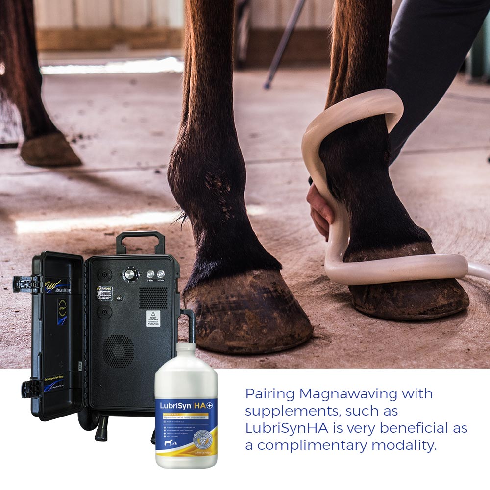 Pairing Magnawaving with supplements, such as LubriSynHA is very beneficial as a complimentary modality.
