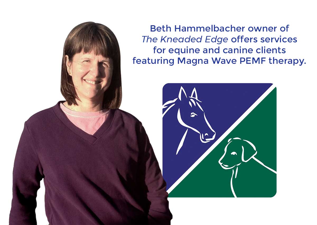 Beth Hammelbacher owner of the Kneaded Edge offers services for equine and canine clients featuring Magna Wave PEMF therapy.
