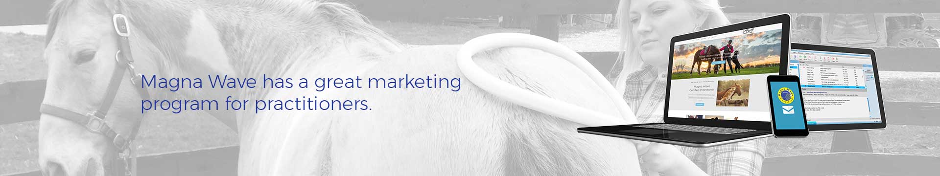 Magna Wave has a great marketing program for practitioners.