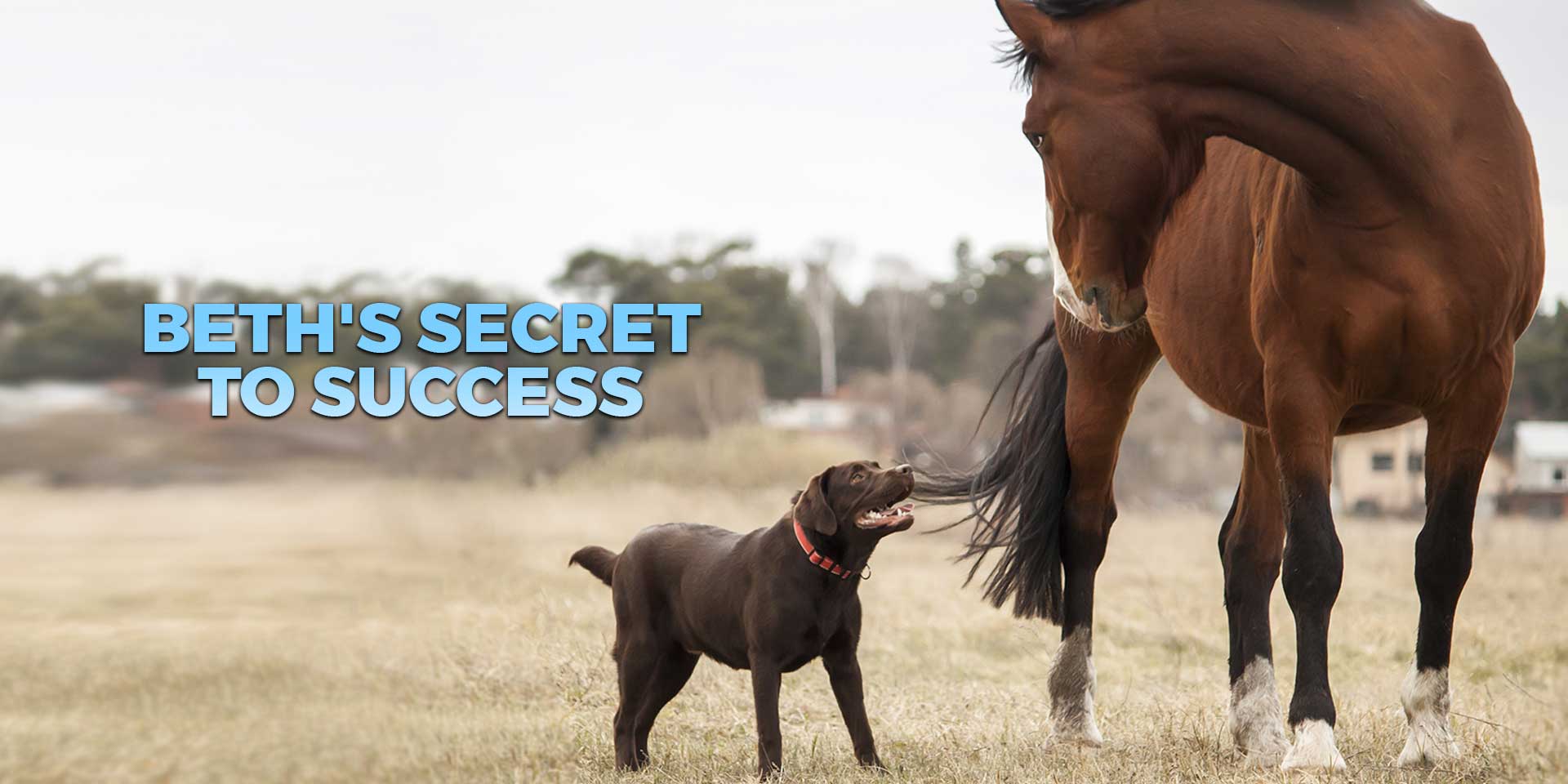 Beth's Secret to Success