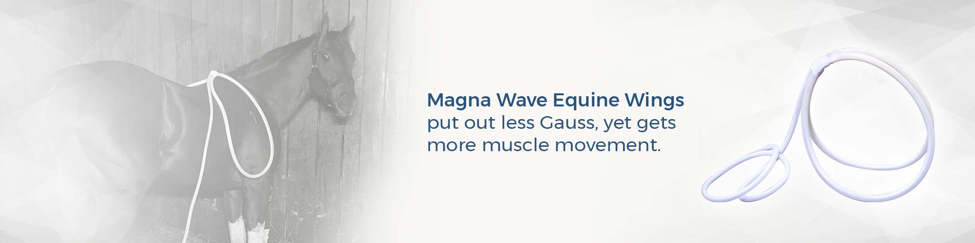 Magna Wave Equine Wings put out less Gauss, yet gets more muscle movement.