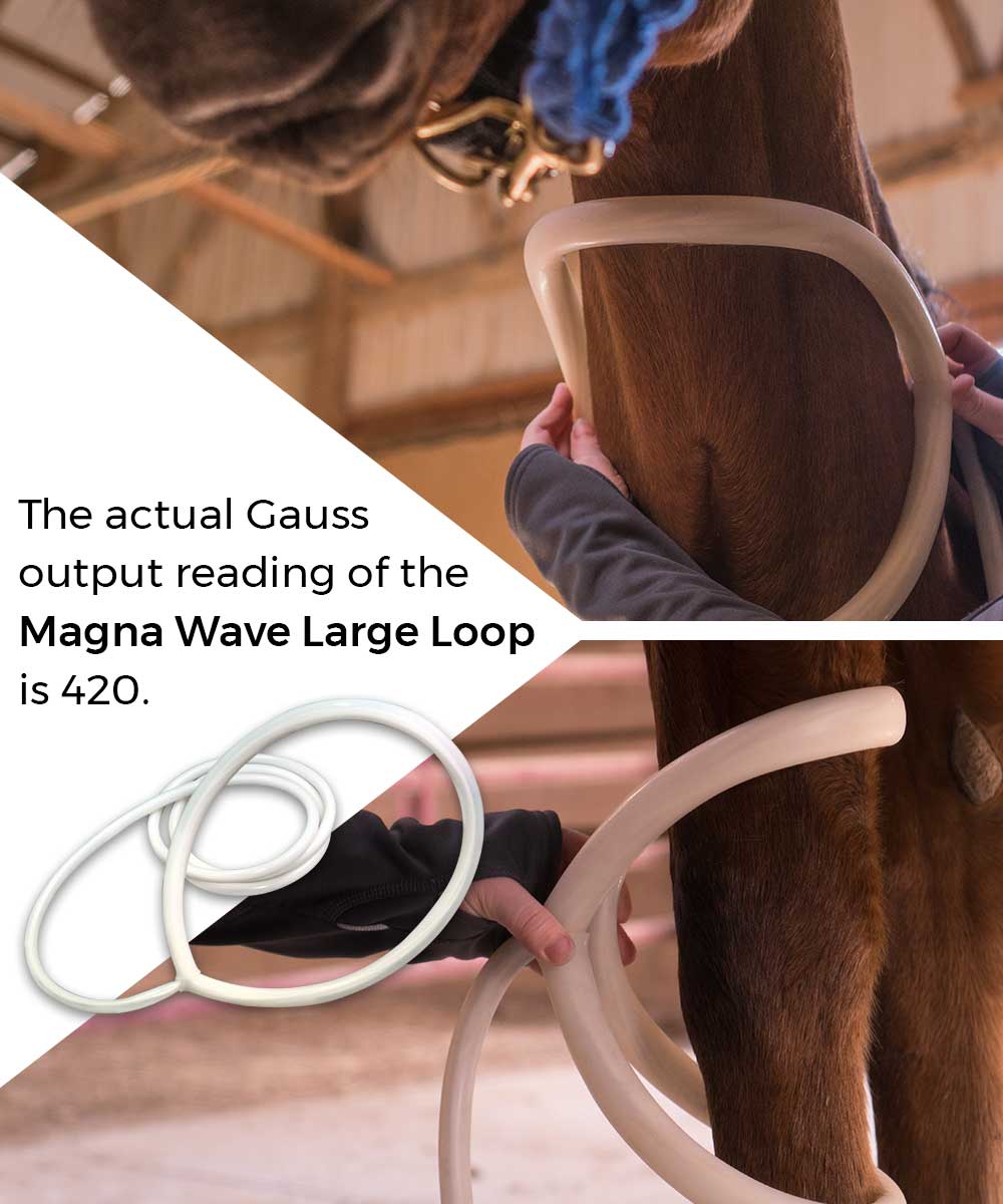 The actual Gauss output reading of the Magna Wave Large Loop is 420.