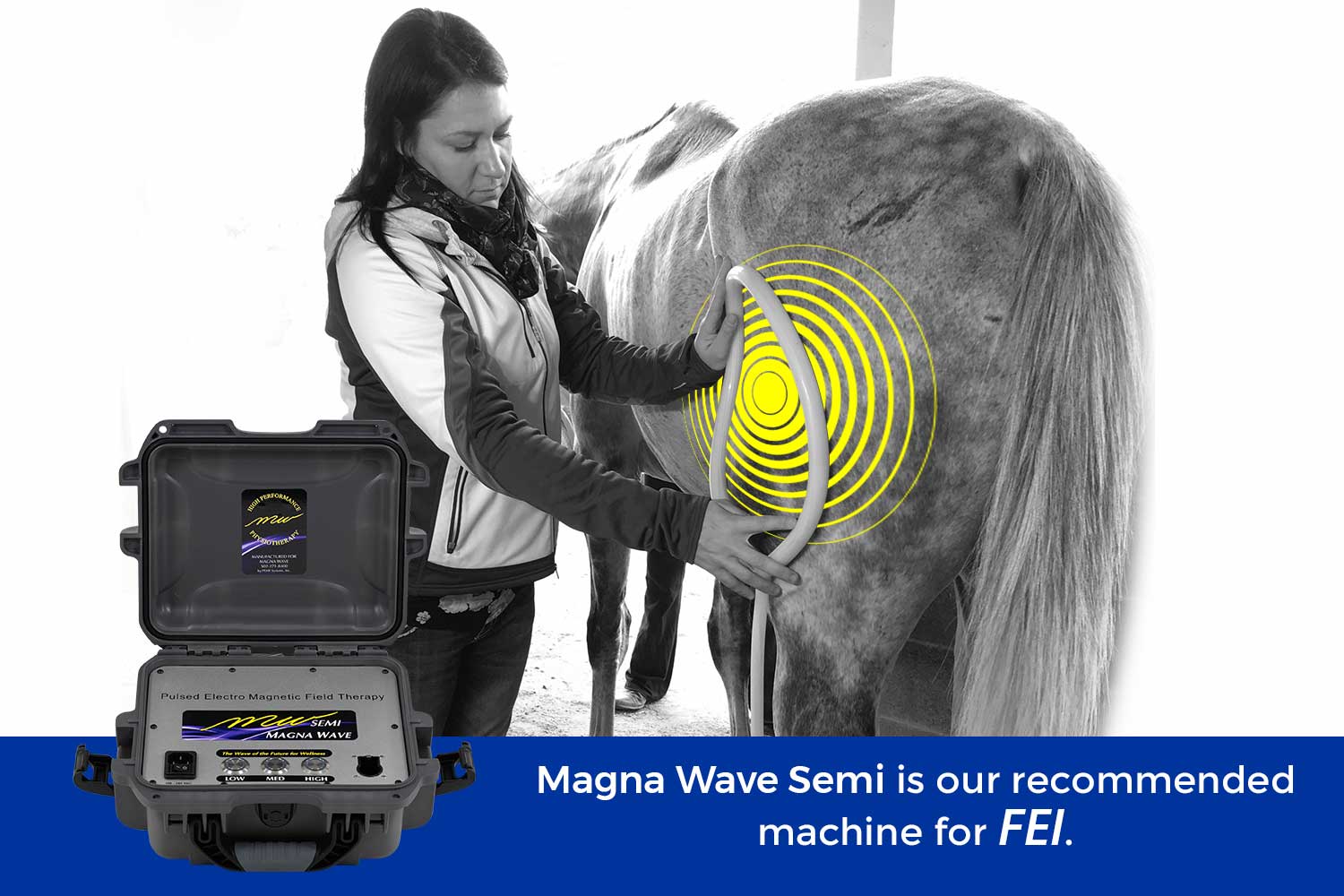Magna Wave Semi is our recommended machines for FEI.