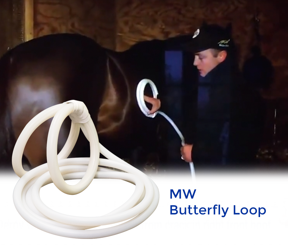 MW Butterfly Loop