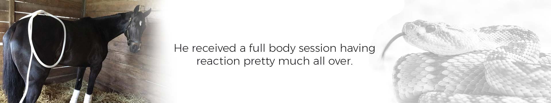 He received a full body session having reaction pretty much all over.