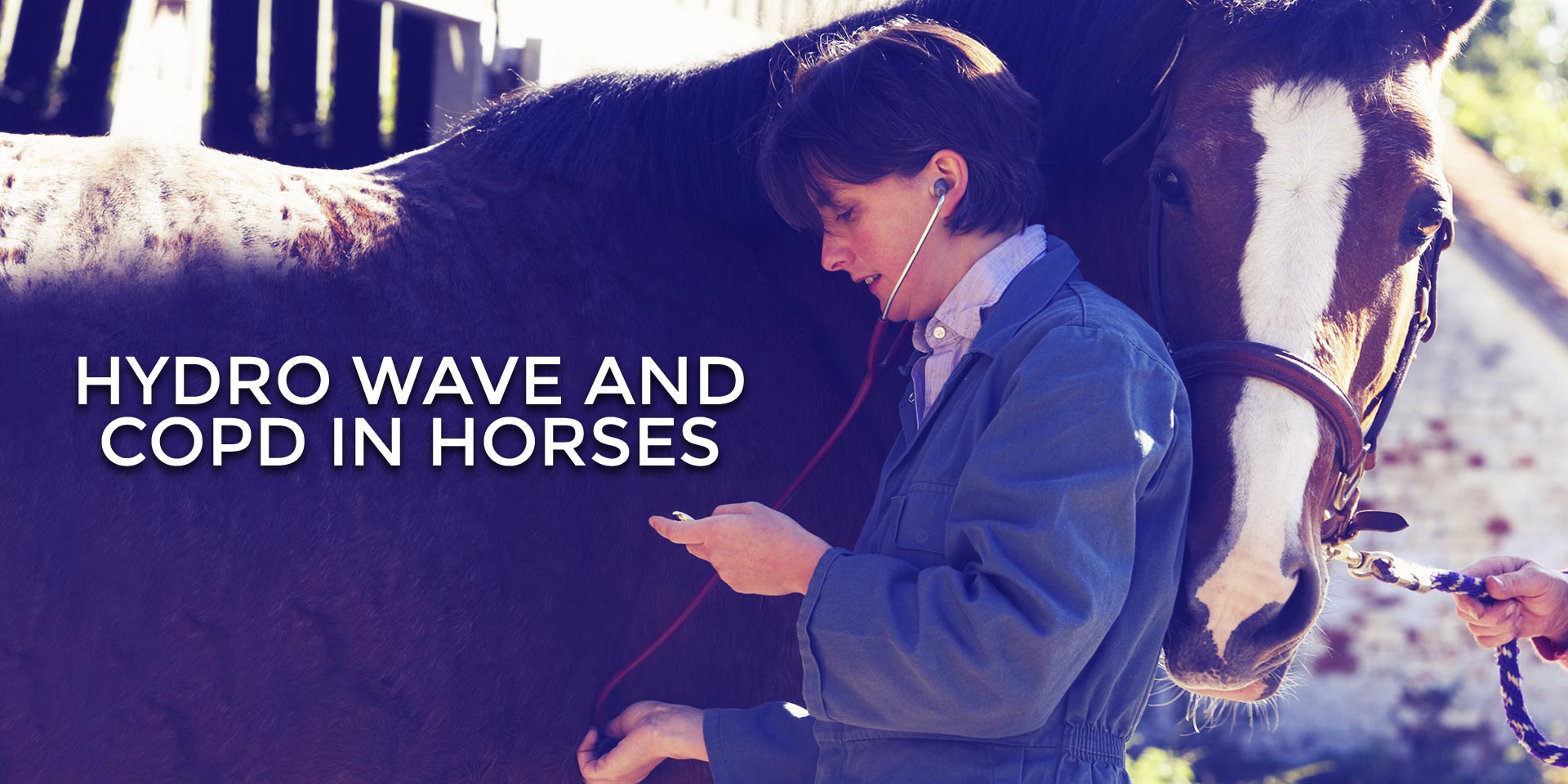 Hydro Wave and COPD in Horses