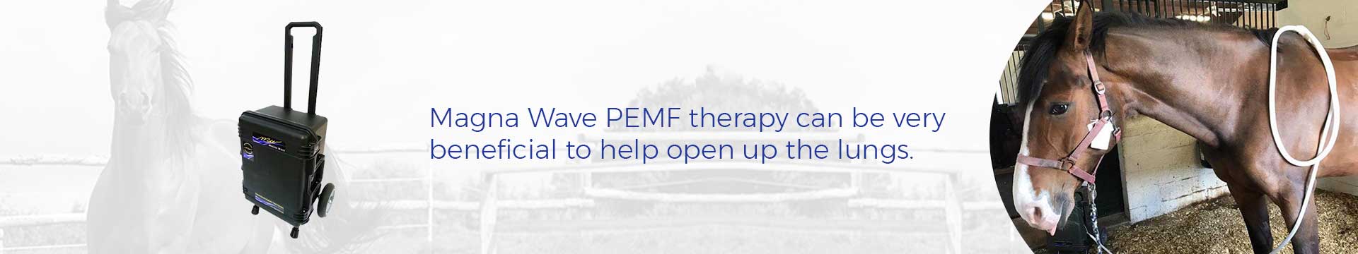 Magna Wave PEMF therapy can be very beneficial to help open up the lungs.