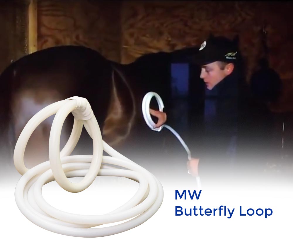 Magna Wave PEMF Butterfly Loop