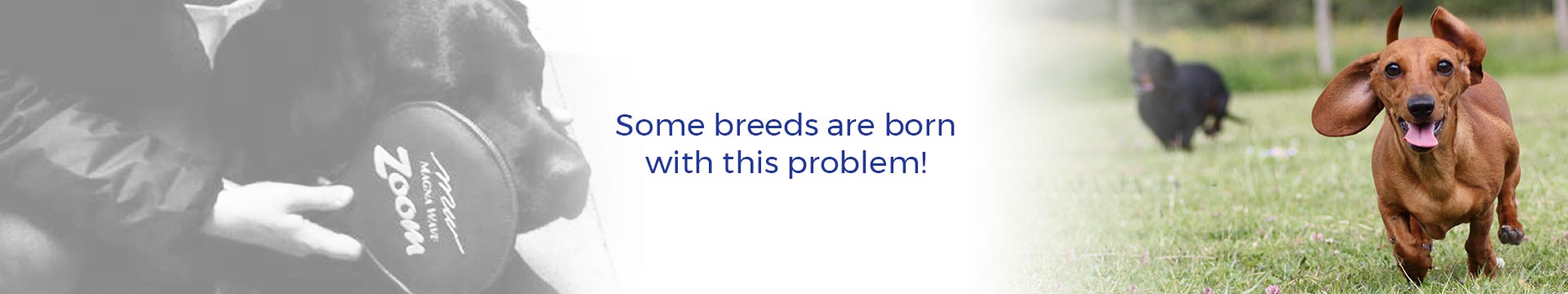 Some breeds are born with this problem!