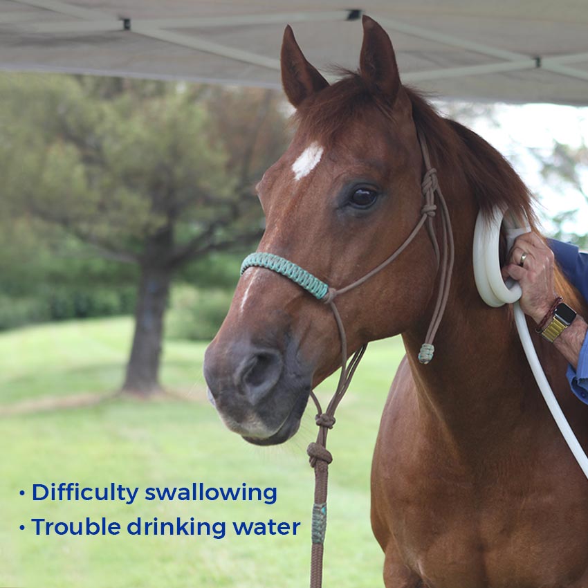 Difficulty swallowing. Trouble drinking water.