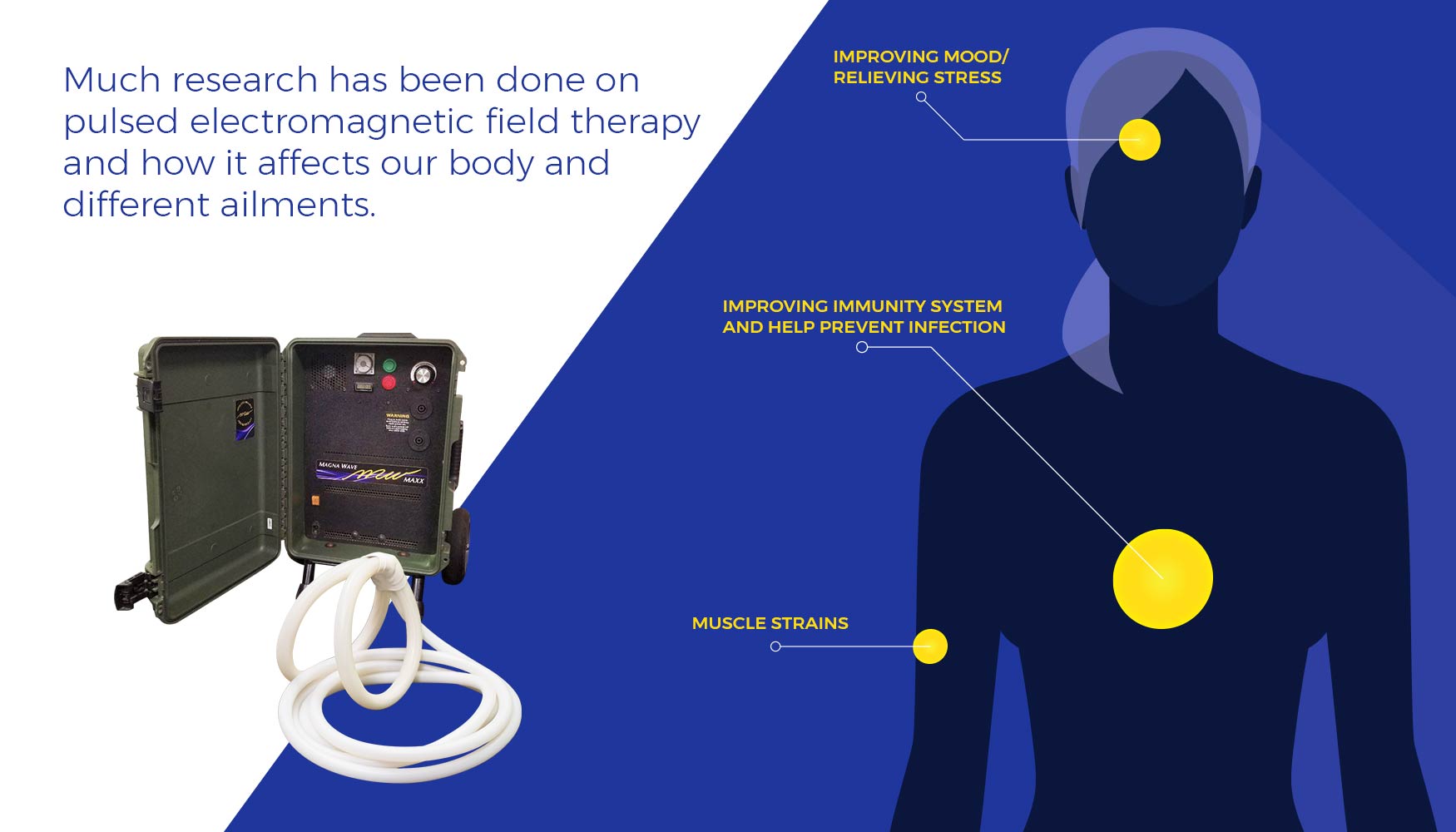 Much research has been done on pulsed electromagnetic field therapy and how it affects our body and different ailments.