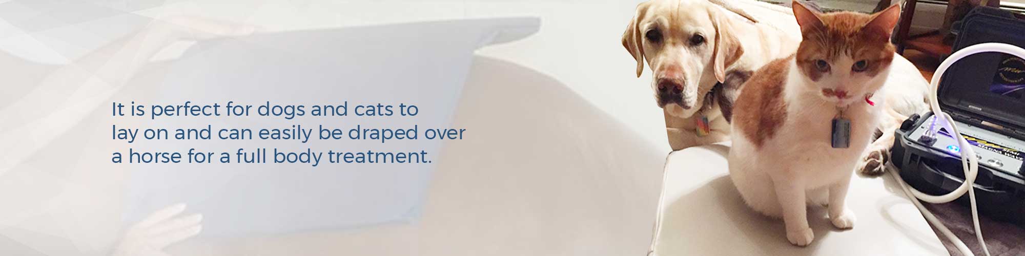 It is perfect for dogs and cats to lay on and can easily be draped over a horse for a full body treatment.