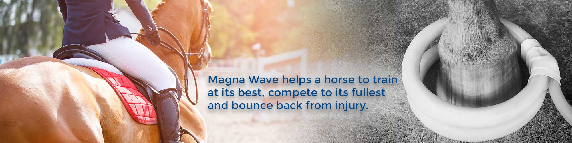 Magna Wave helps a horse to train at its best, compete to its fullest and bounce back from injury.