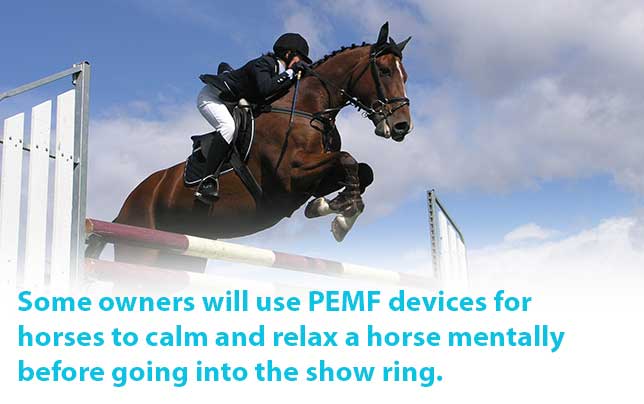 Some owners will use PEMF devices for horse to calm and relax a horse mentally before going into the show ring