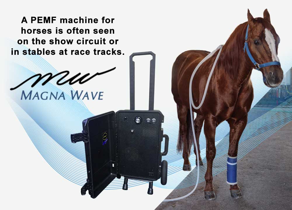 A PEMF Machine for Horses is often seen on the show circuit or in stables at race tracks.