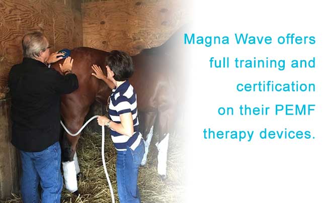 Magna Wave PEMF - Therapy Devices PEMF Training