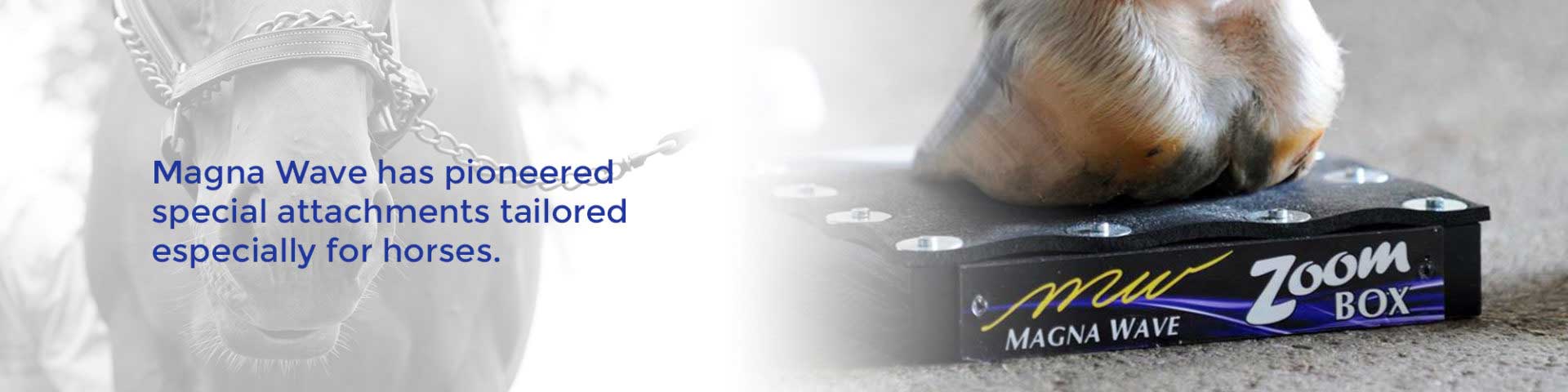 Magna Wave has pioneered special attachments tailored especially for horses.