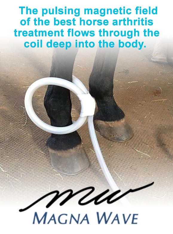 The pulsing magnetic field of the best horse arthritis treatment flows through the coil deep into the body.