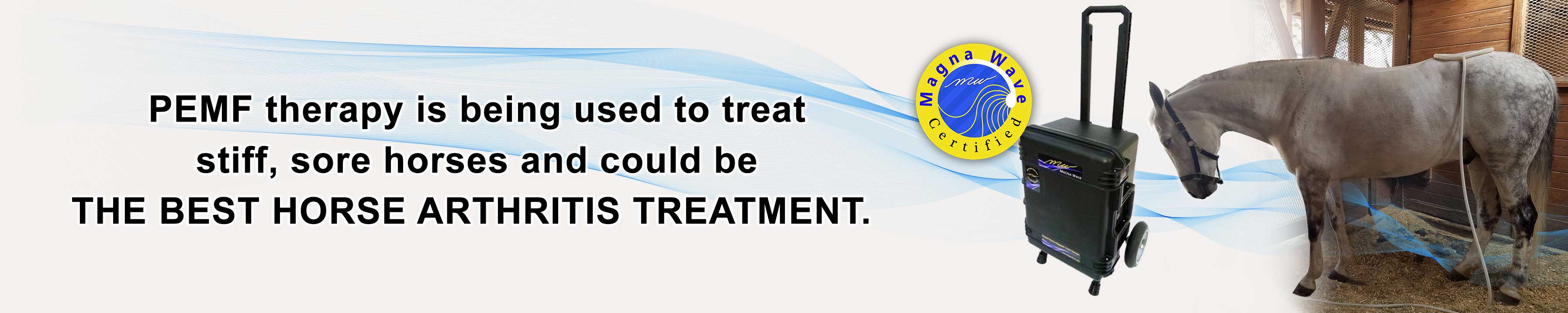 PEMF Therapy is being used to treat stiff, sore horses and could be the best horse arthritis treatment.
