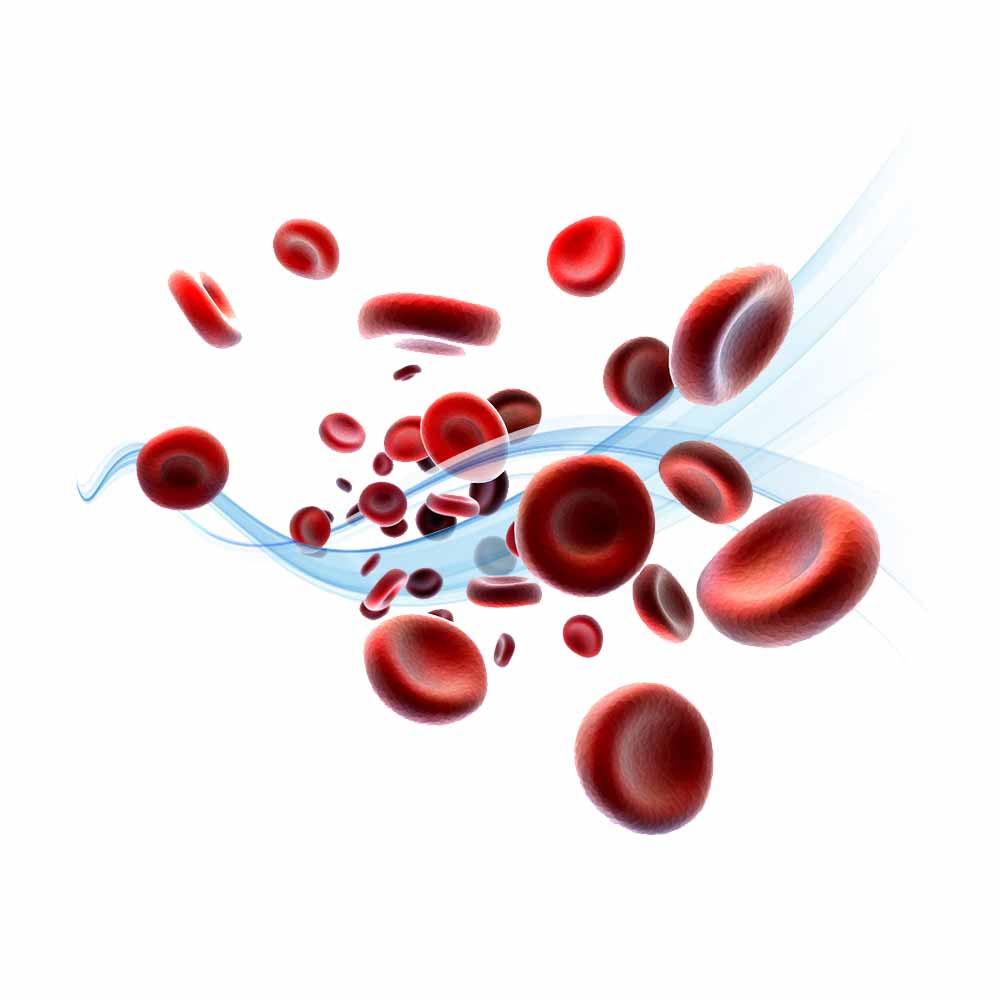 PEMF Therapy is one of the best treatments for blood viscosity