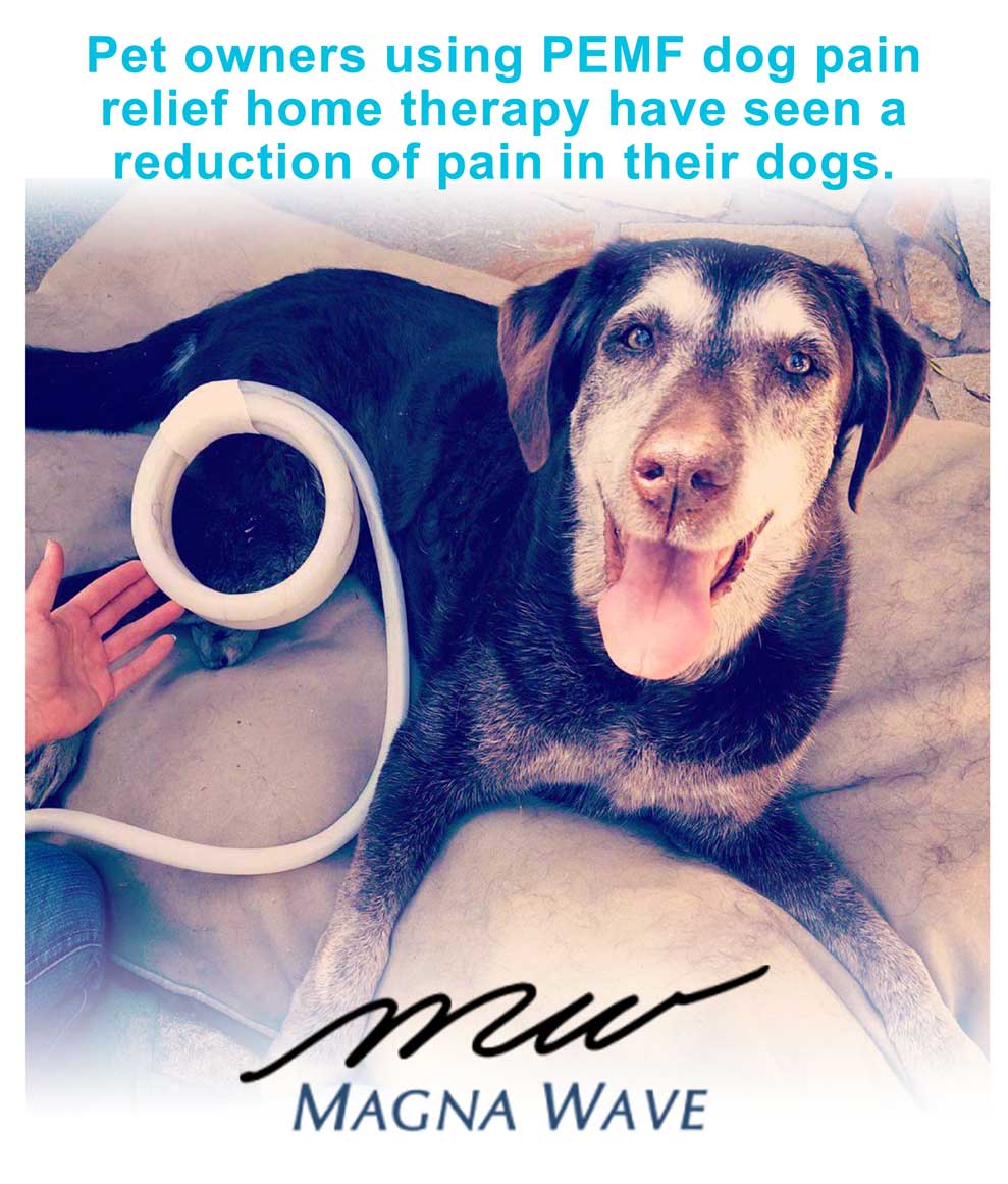 Pet owners using PEMF dog pain relief home therapy have seen a reduction of pain in their dogs.