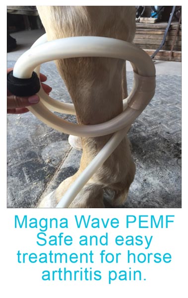 Manga Wave PEMF Safe and easy treatment for horse arthritis pain.
