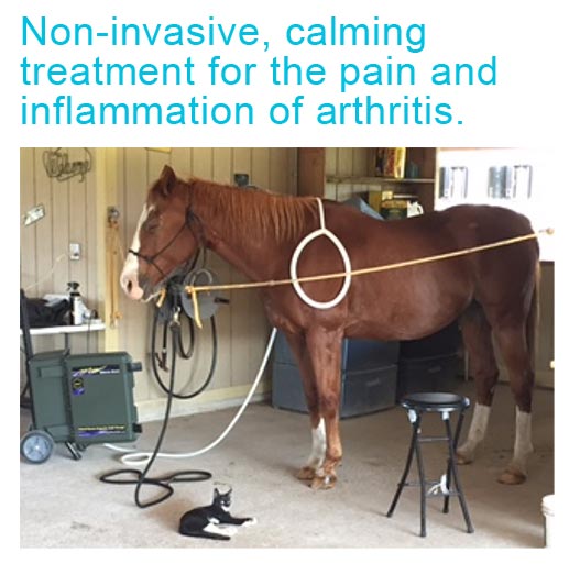 Non-invasive and calming treatment for the pain and inflammation of arthritis.