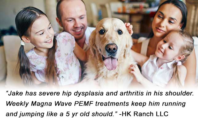 Magna Wave - Magnetic Therapy for Dogs Hip Dysplasia