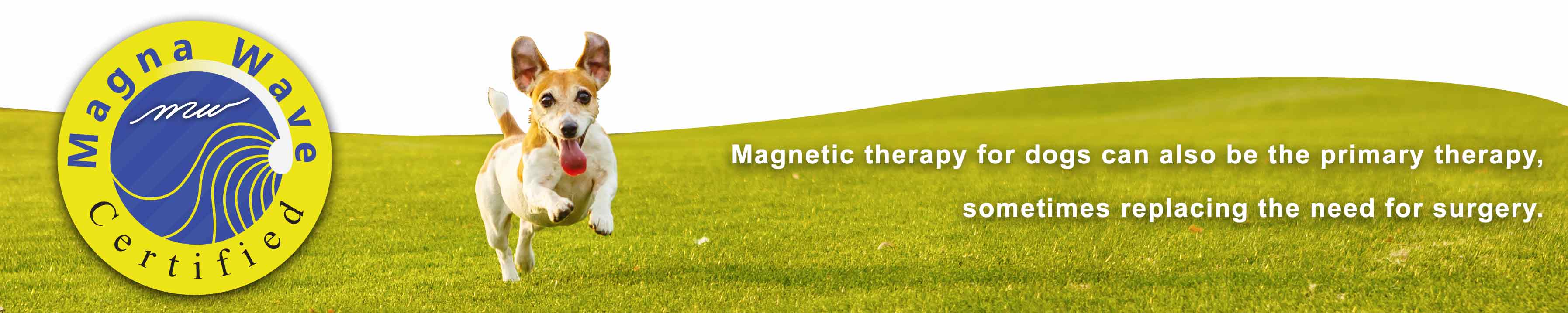 Magna Wave - Magnetic Therapy for Dogs Replacing Surgery