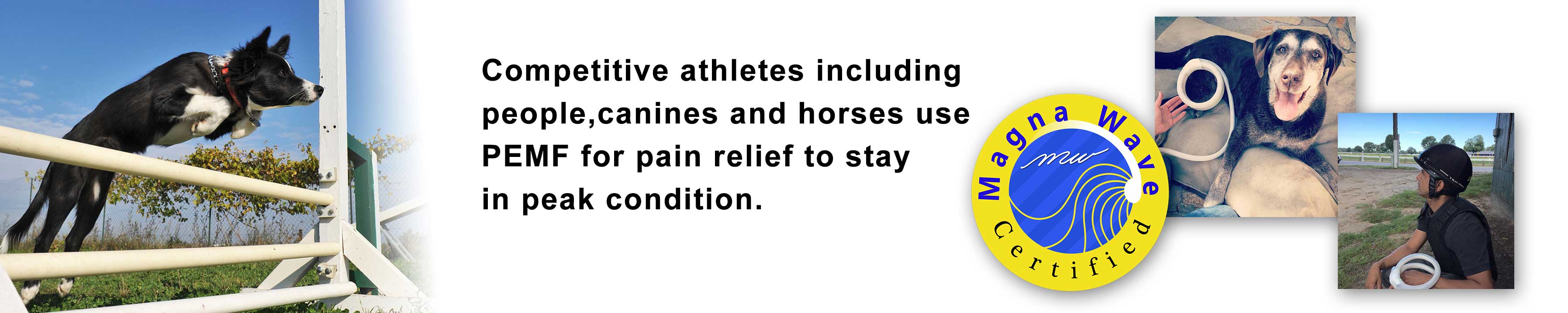 Competitive athletes including people, canines and horses use PEMF for pain relief to stay in peak condition