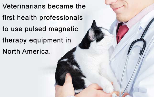 Magna Wave - Pulsed Magnetic Therapy Equipment Veterinarians North America