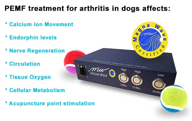 PEMF treatment for arthritis in dogs affects: calcium ion movement, endorphin levels, nerve regeneration, circulation, tissue oxygen, cellular metabolism, acupuncture point stimulation