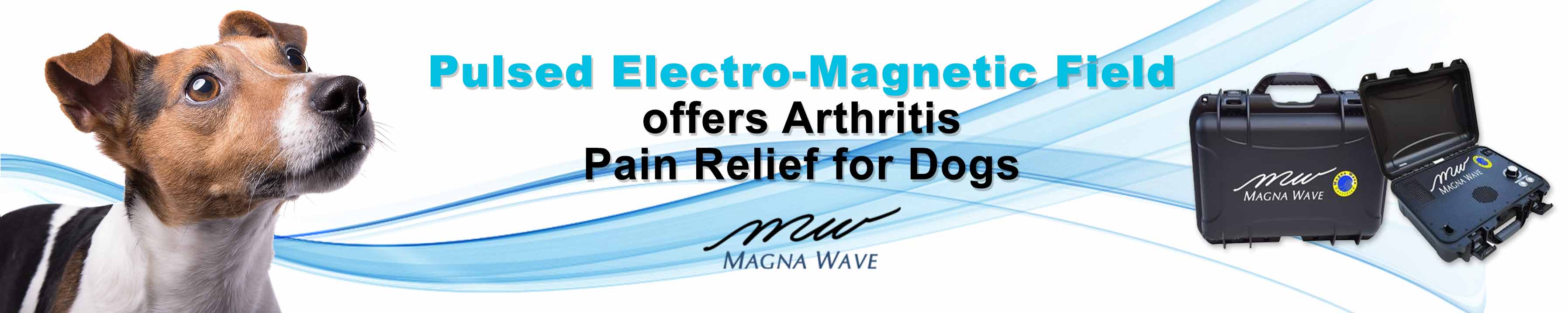 Pulsed Electro-Magnetic Field offers arthritis pain relief for dogs