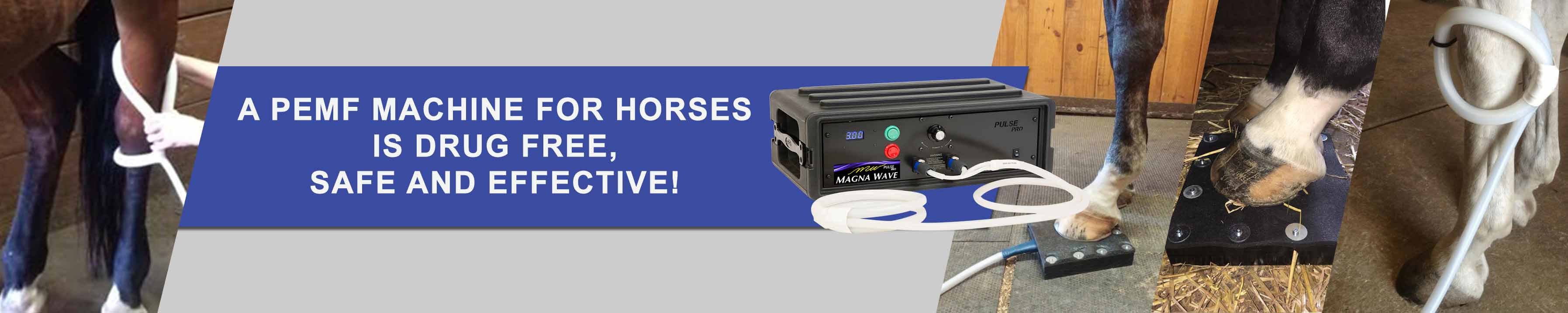A Magna Wave PEMF Machine for Horses is drug free, safe and effective!