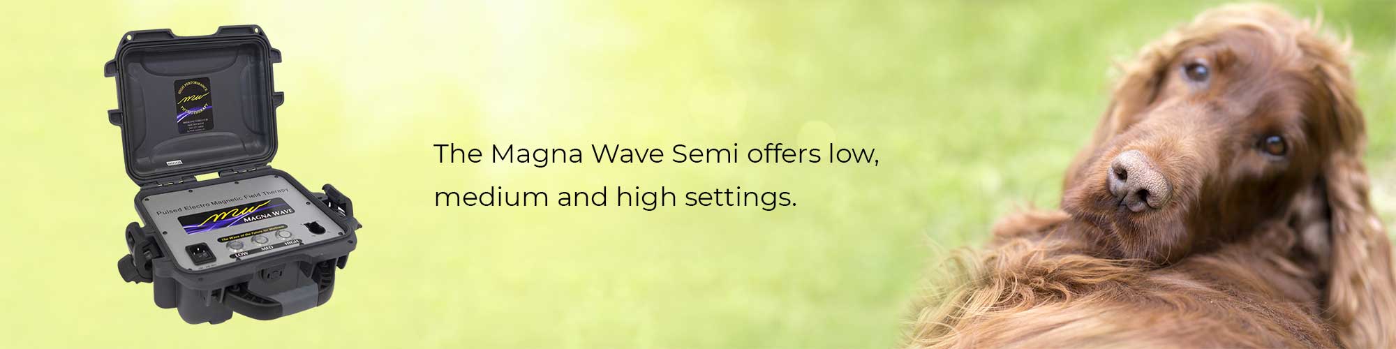 The Magna Wave Semi offers low, medium and high settings