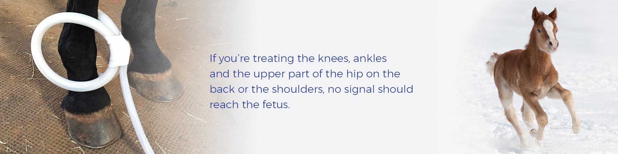 If you're treating the knees, ankles, and the upper part of the hip on the back or the shoulders, no signal should reach the fetus