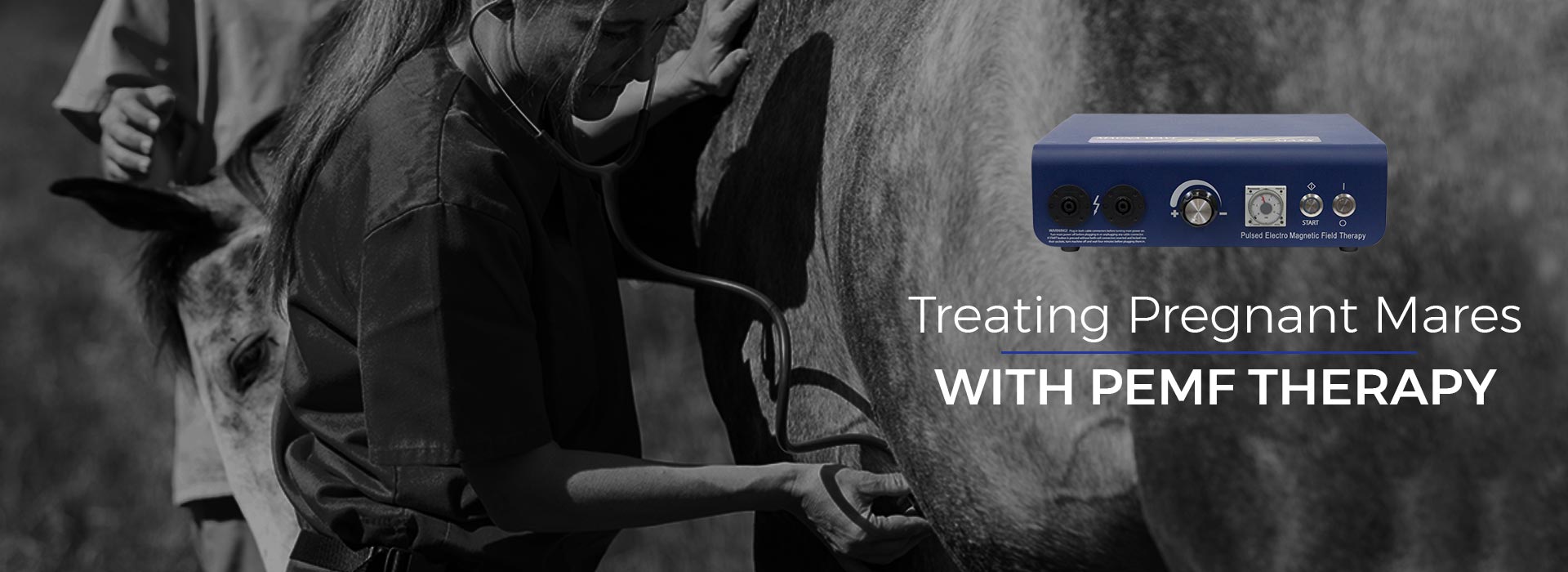 Treating Pregnant Mares with PEMF Therapy