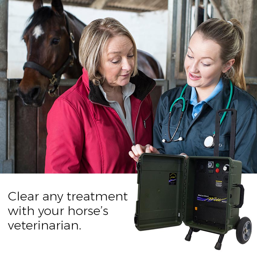 Clear any treatment with your horse's veterinarian