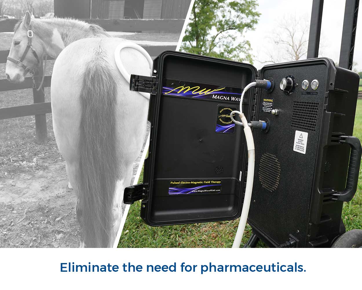 Eliminate the need for pharmaceuticals.