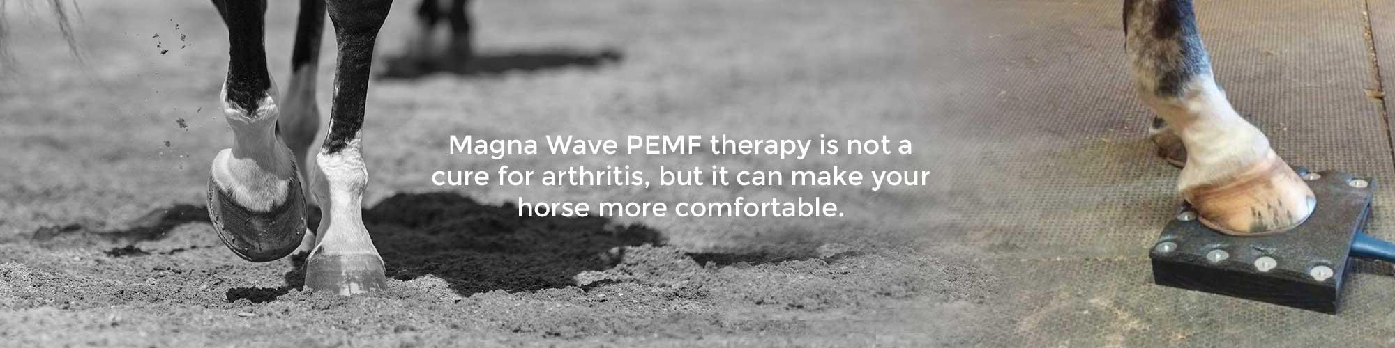 Magna Wave PEMF therapy is not a cure for arthritis, but it can make your horse more comfortable.
