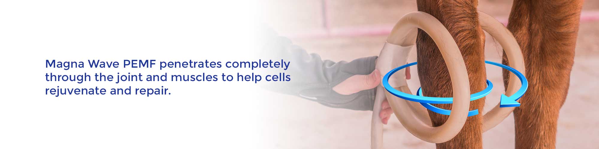 Magna Wave PEMF penetrates completely through the joint and muscles to help cells rejuvenate and repair.